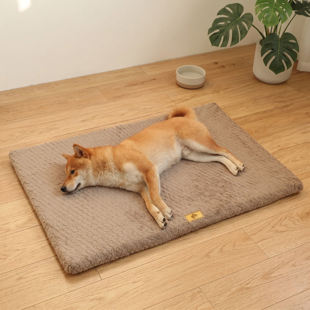 tapis-orthopedique-pour-chien-doux-situation-2