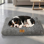 tapis-orthopedique-pour-chien-doux-situation