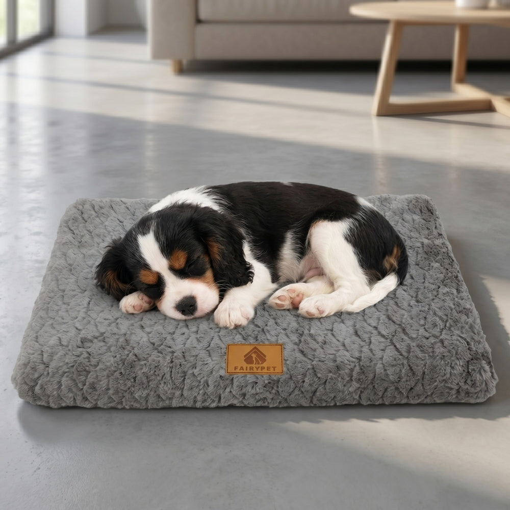 tapis-orthopedique-pour-chien-doux-situation