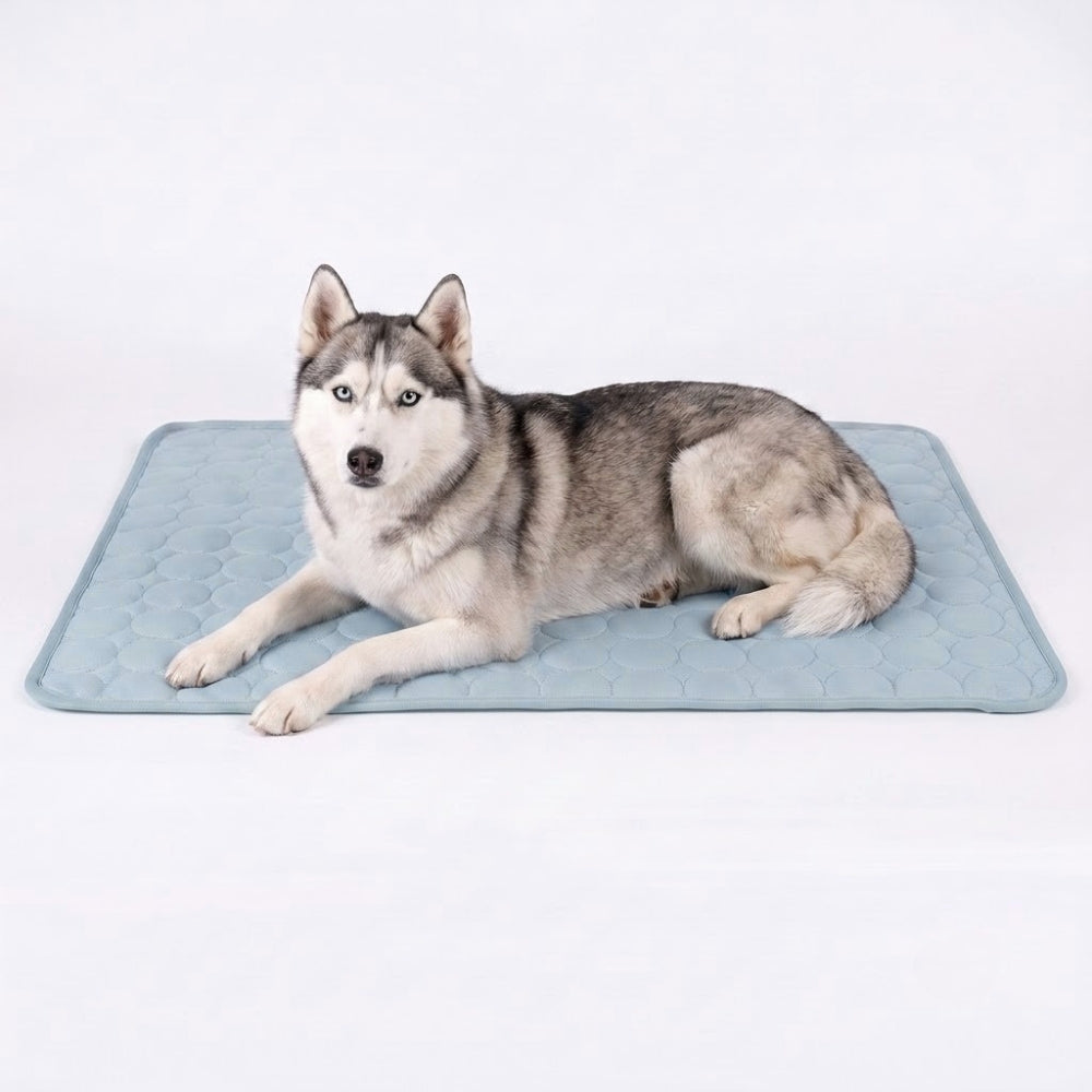 tapis-rafraichissant-pour-chien-impermeable-bleu-clair