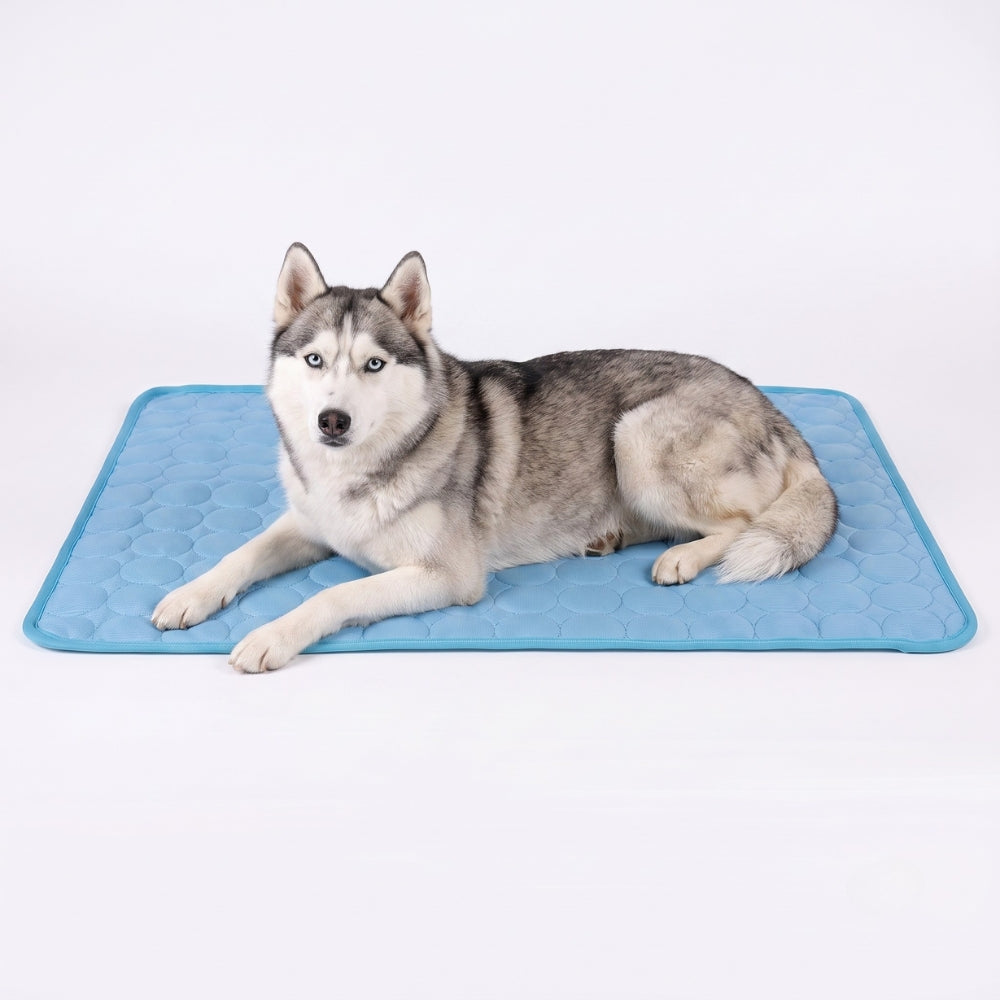 tapis-rafraichissant-pour-chien-impermeable-bleu