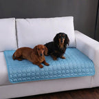 tapis-rafraichissant-pour-chien-impermeable-canape