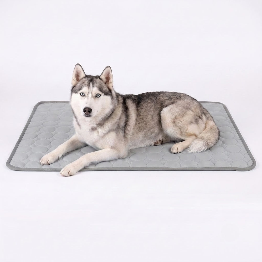 tapis-rafraichissant-pour-chien-impermeable-gris-clair