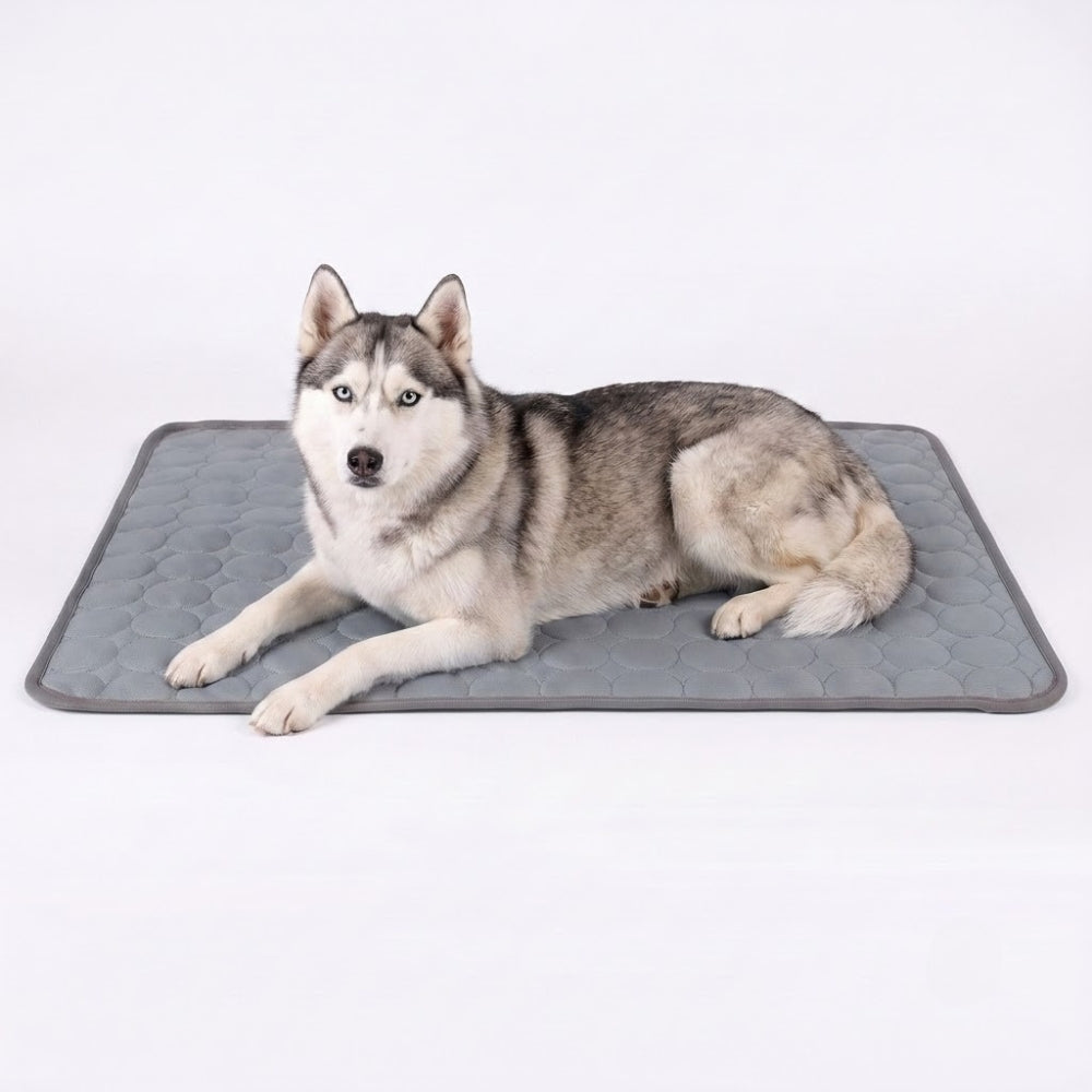 tapis-rafraichissant-pour-chien-impermeable-gris
