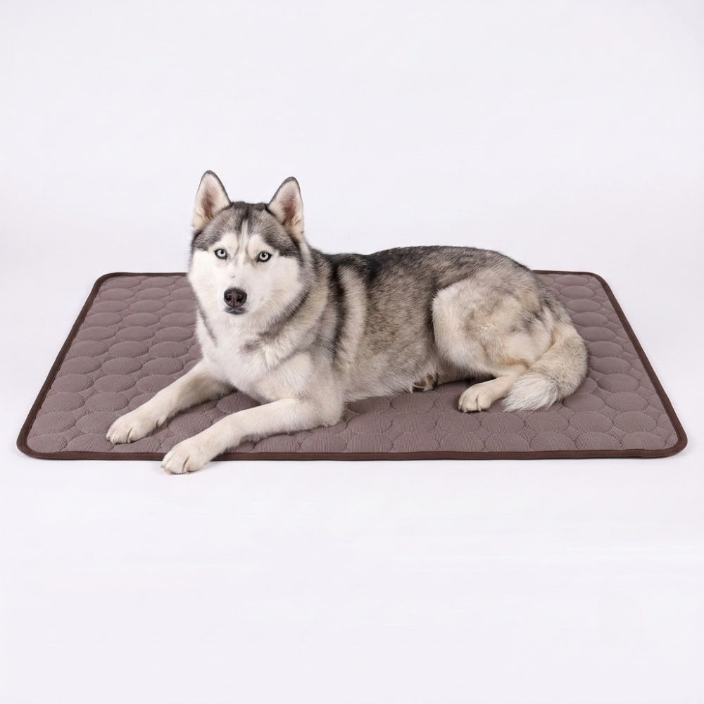 tapis-rafraichissant-pour-chien-impermeable-marron