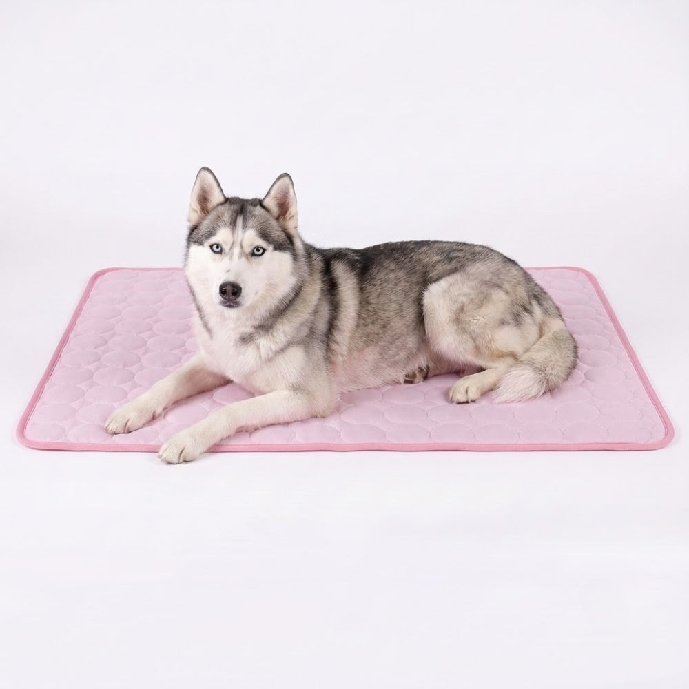 tapis-rafraichissant-pour-chien-impermeable-rose