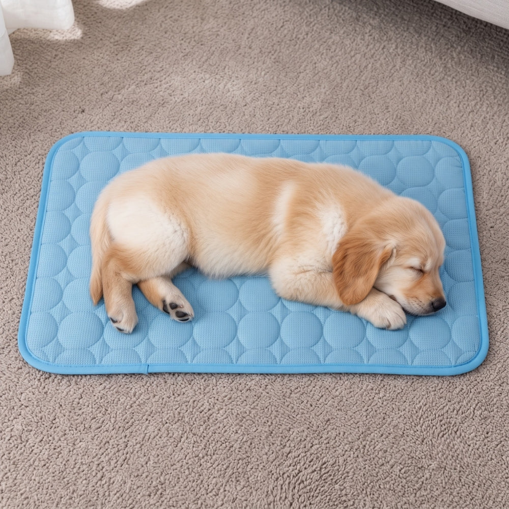 tapis-rafraichissant-pour-chien-impermeable-situation