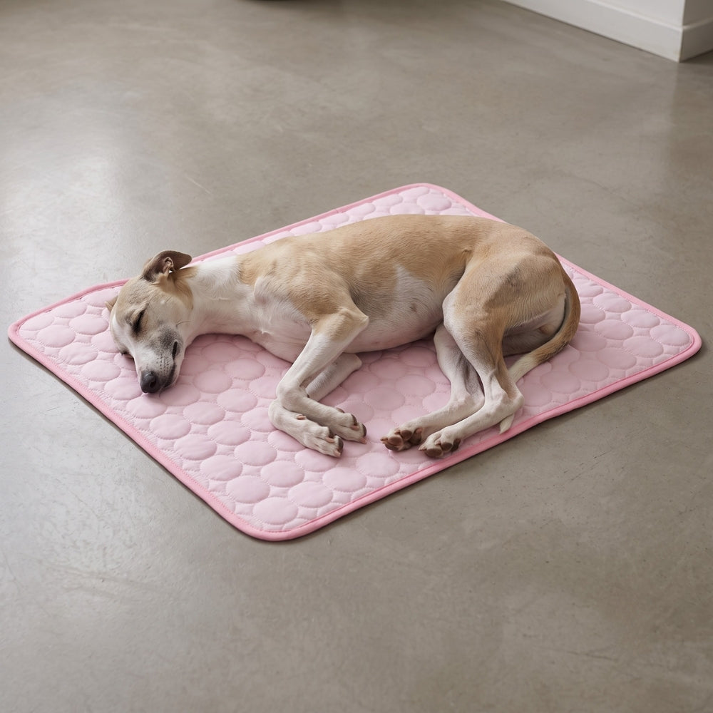 tapis-rafraichissant-pour-chien-impermeable-sol