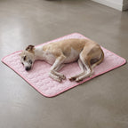 tapis-rafraichissant-pour-chien-impermeable-sol