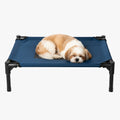 transat-pour-chien-bleu-chien