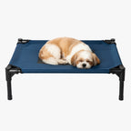 transat-pour-chien-bleu-chien