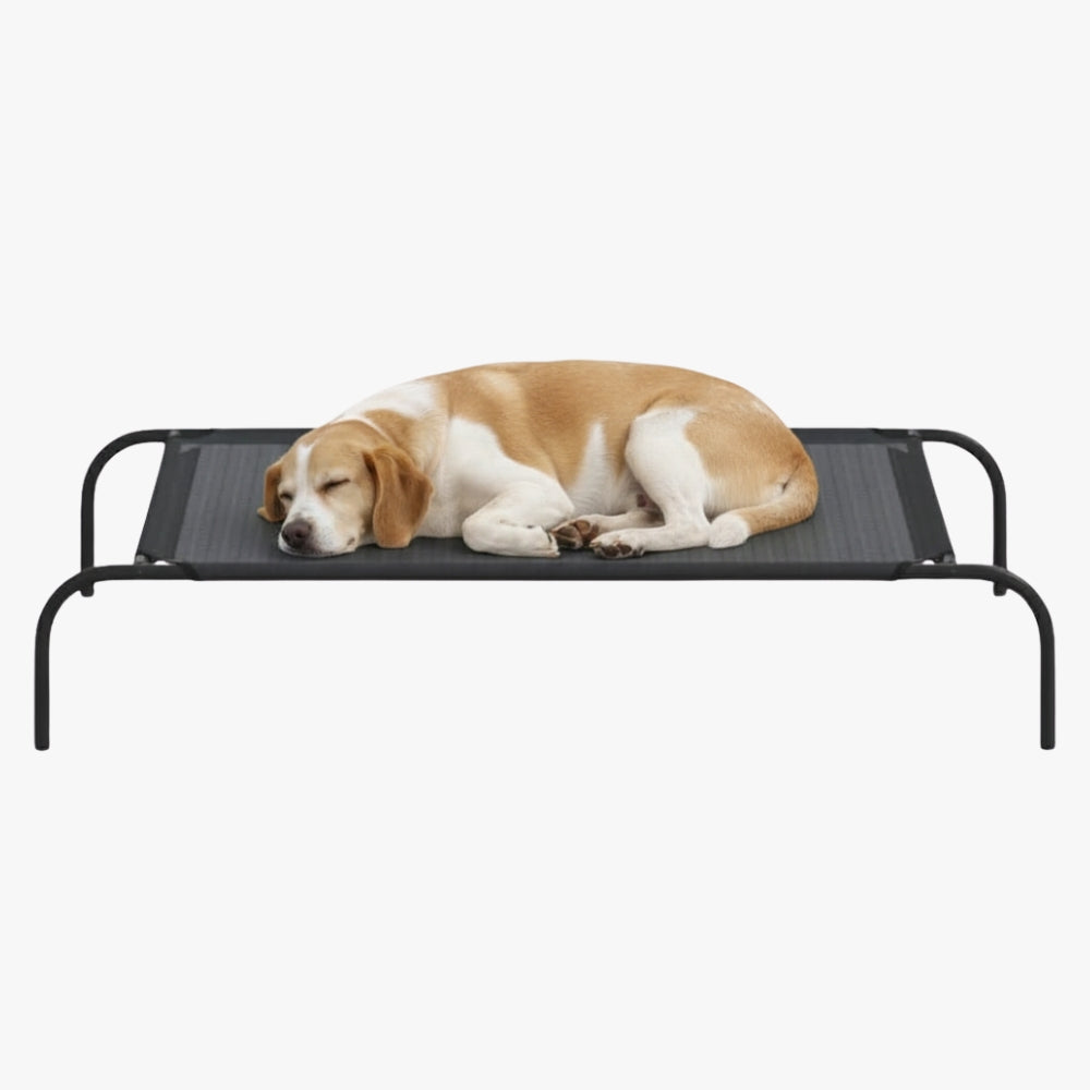 transat-pour-chien-noir